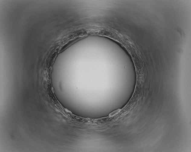 X0000110971445200906191101