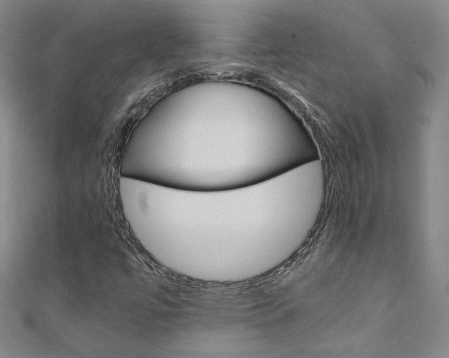 X0000110971447200906191101