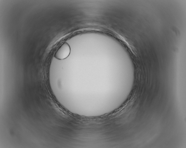 X0000110971448200906191101
