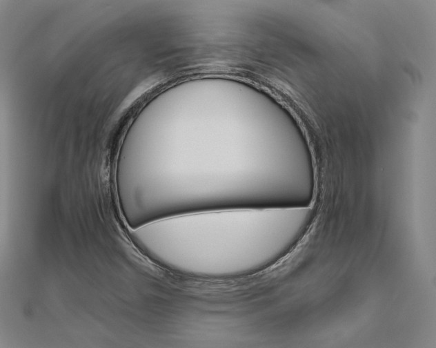 X0000110971450200906191101