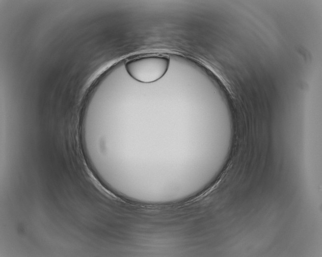 X0000110971452200906191101