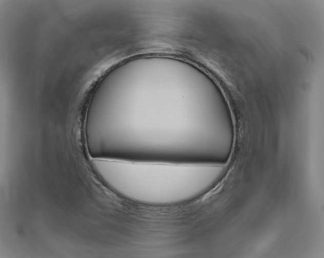 X0000110971455200906191101