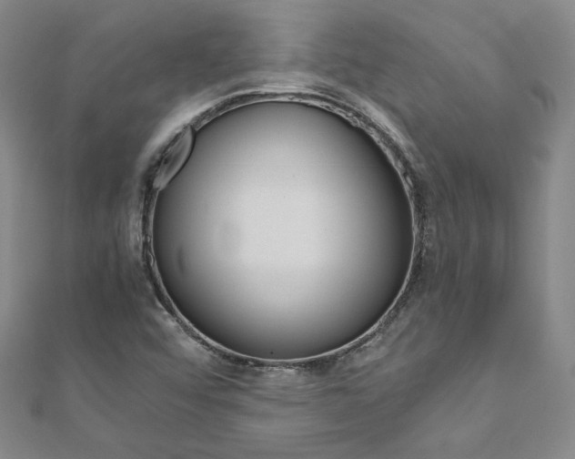 X0000110971456200906191101