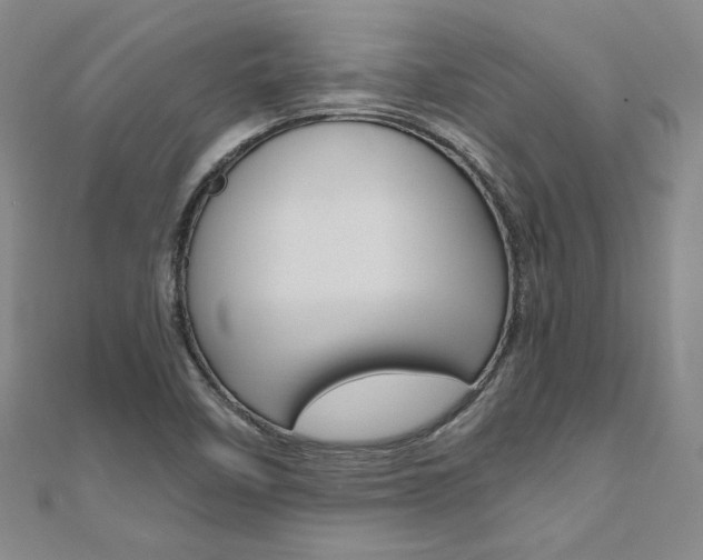 X0000110971458200906191101