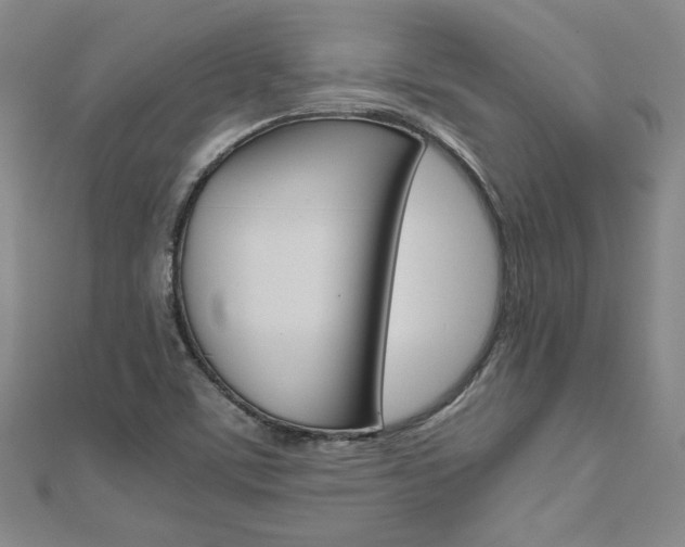 X0000110971459200906191101