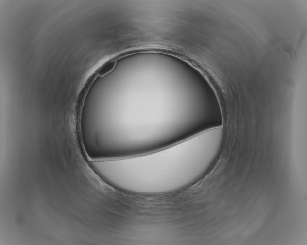 X0000110971460200906191101