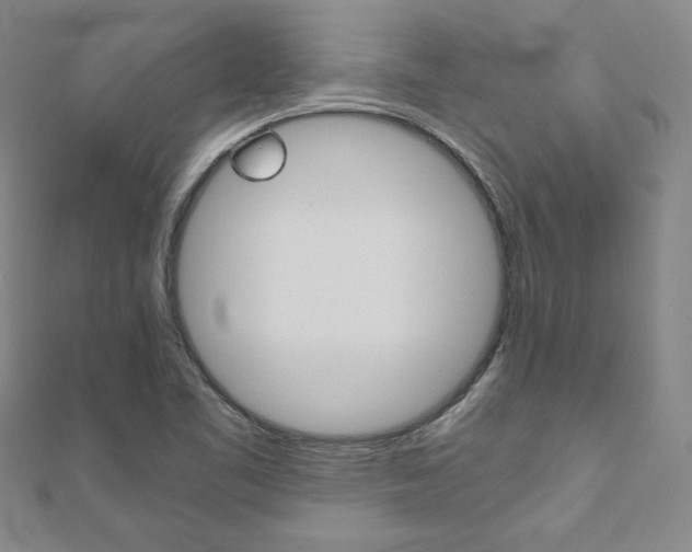 X0000110971461200906191101