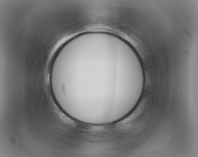 X0000110971462200906191101