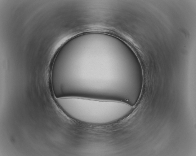 X0000110971463200906191101