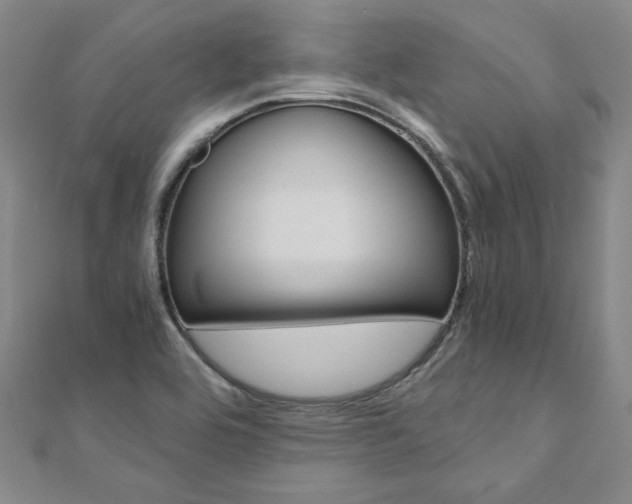 X0000110971464200906191101