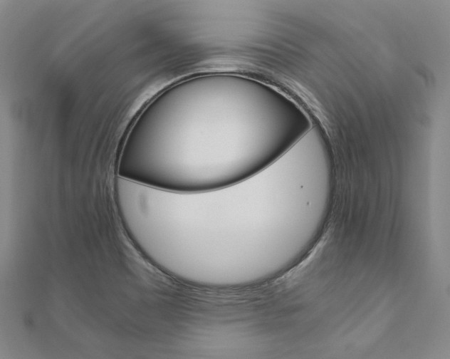 X0000110971465200906191100