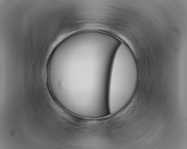 X0000110971467200906191100