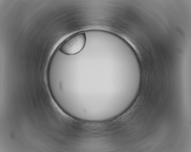X0000110971468200906191100
