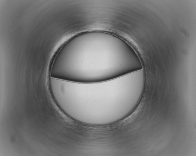 X0000110971469200906191100