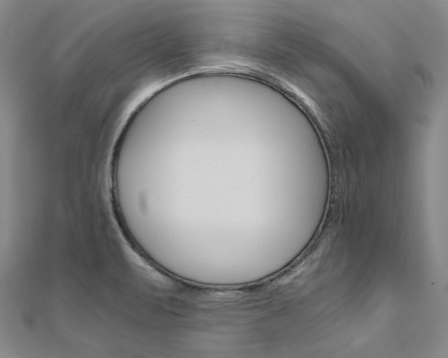 X0000110971471200906191100