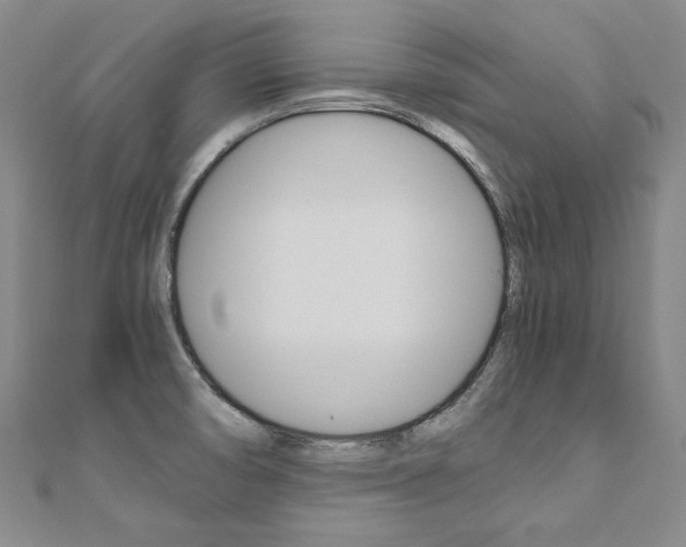 X0000110971474200906191100
