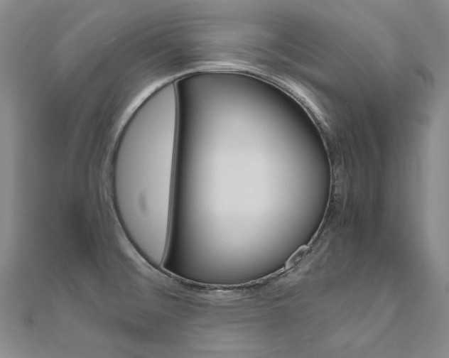 X0000110971476200906191100