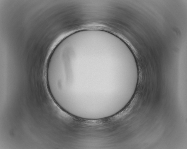 X0000110971478200906191100