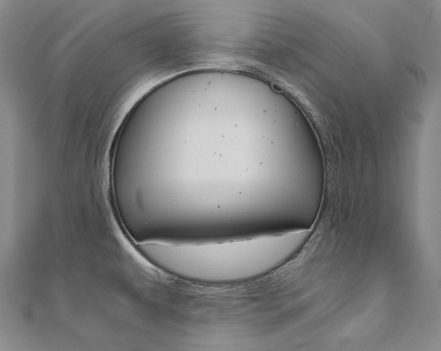 X0000110971479200906191100