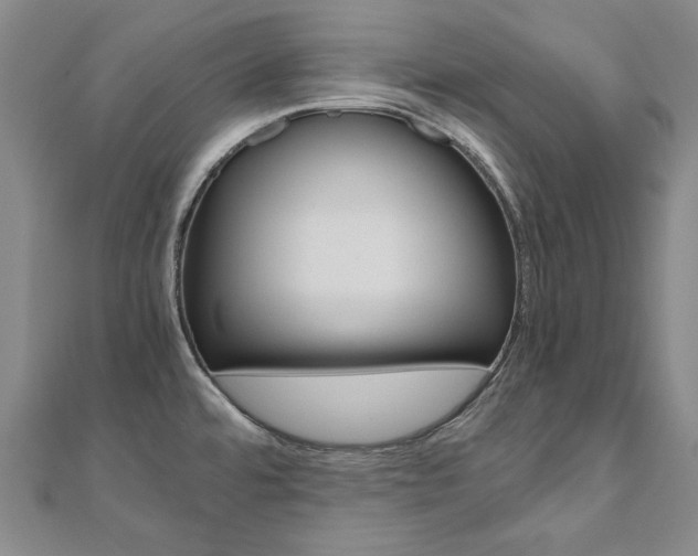 X0000110971480200906191100