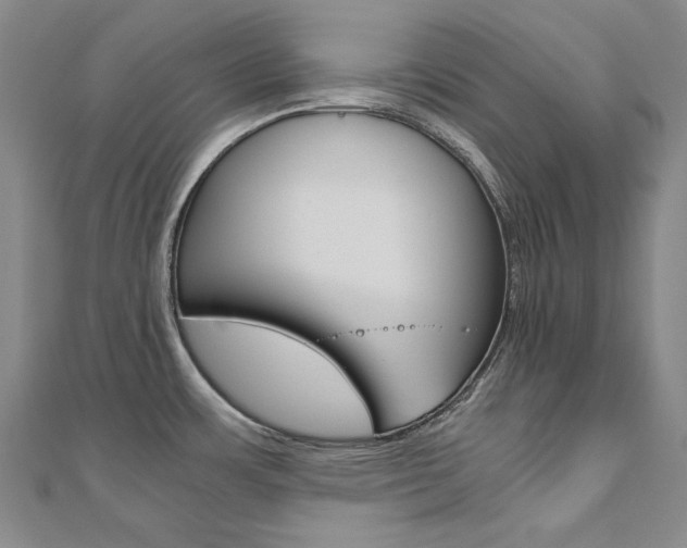 X0000110971483200906191100