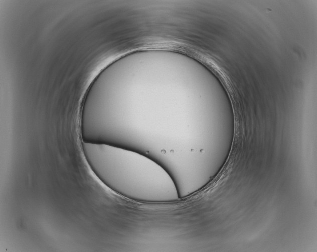 X0000110971487200906191100