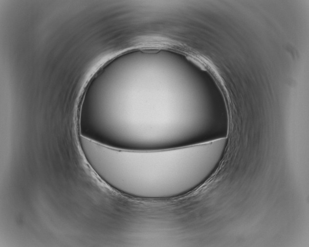 X0000110971488200906191100