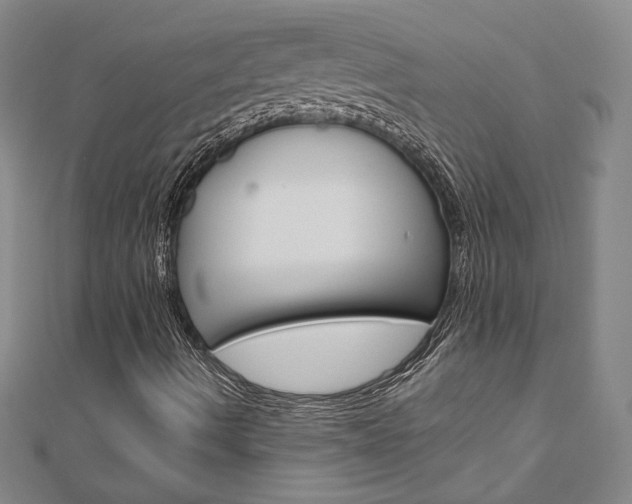 X0000110971490200906191059