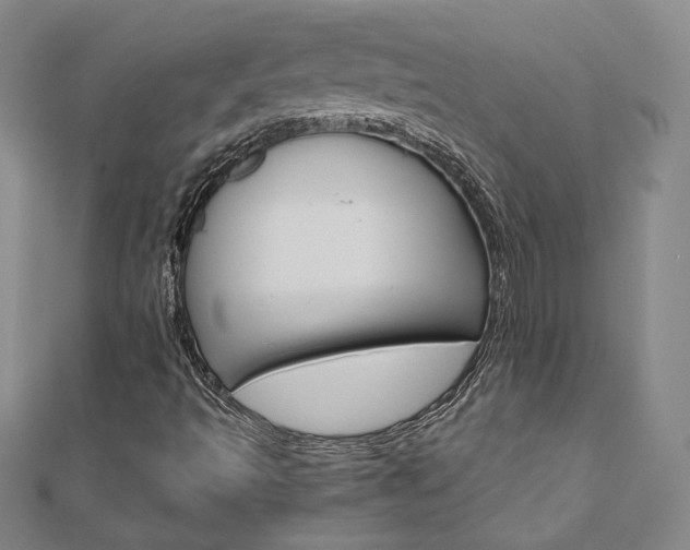 X0000110971493200906191059
