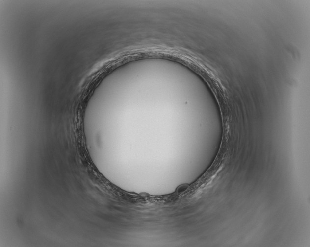 X0000110971494200906191059