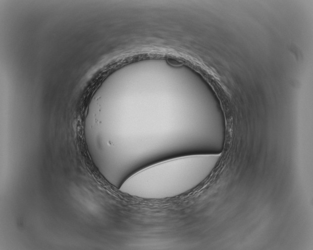 X0000110971495200906191059