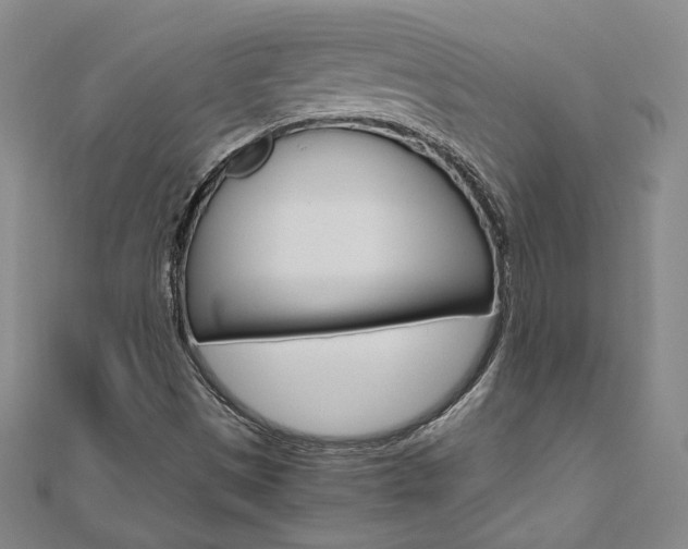 X0000110971497200906191059