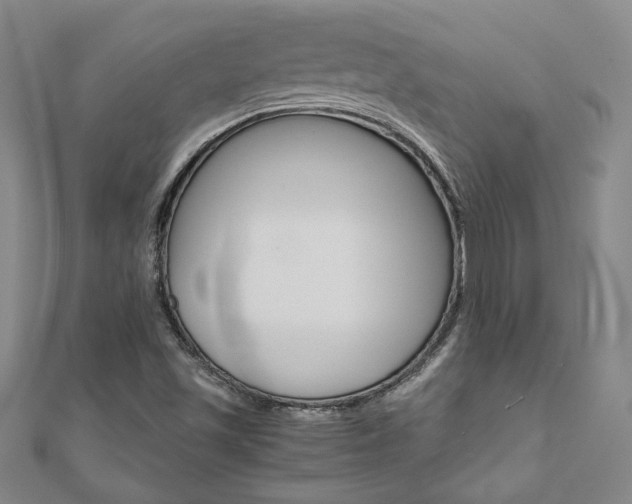 X0000110971501200906191059