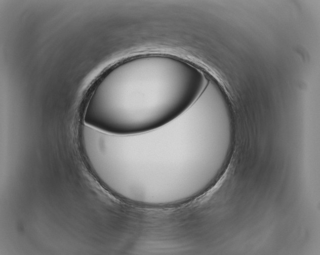 X0000110971502200906191059