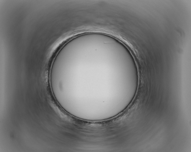 X0000110971503200906191059