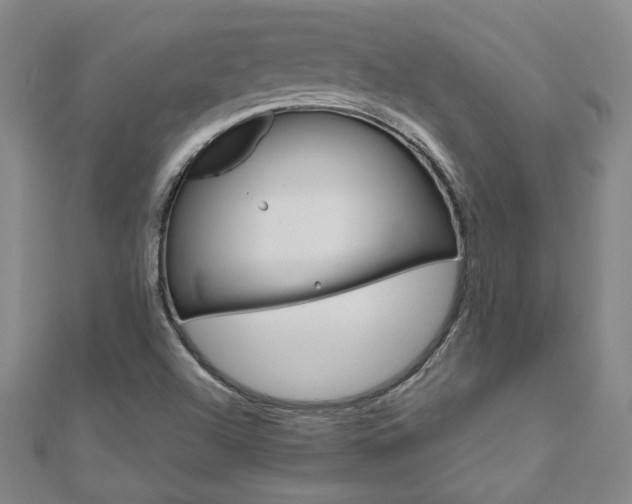 X0000110971504200906191100