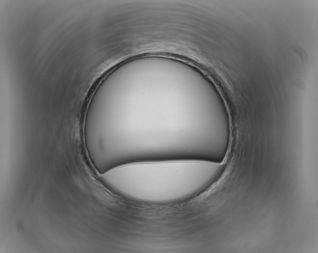 X0000110971505200906191100