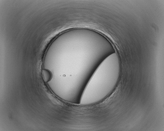 X0000110971507200906191100