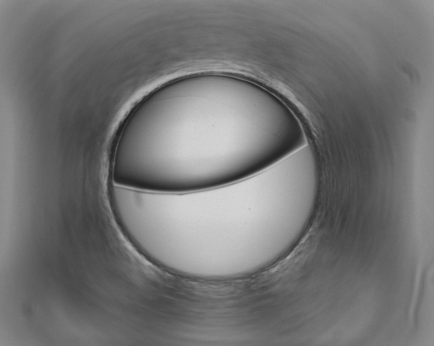 X0000110971508200906191100