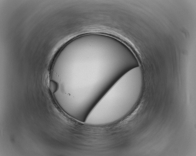 X0000110971509200906191100