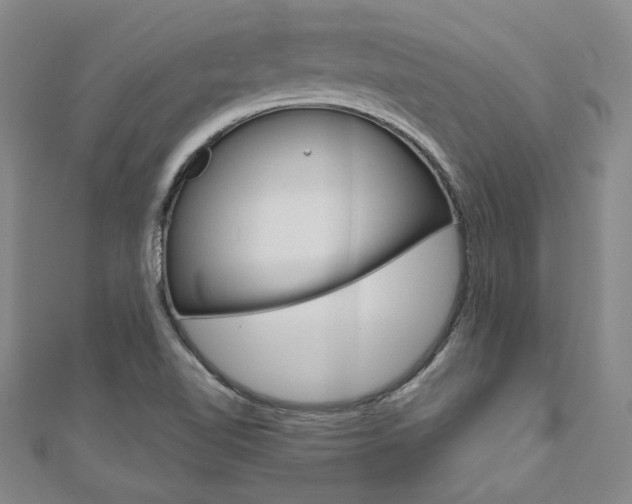 X0000110971510200906191100