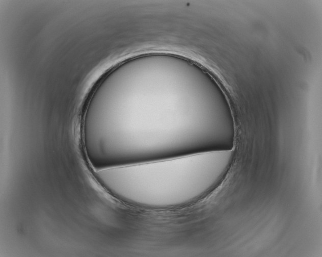 X0000110971511200906191100