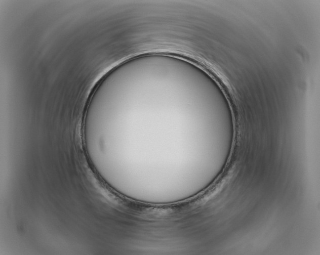 X0000110971513200906191100