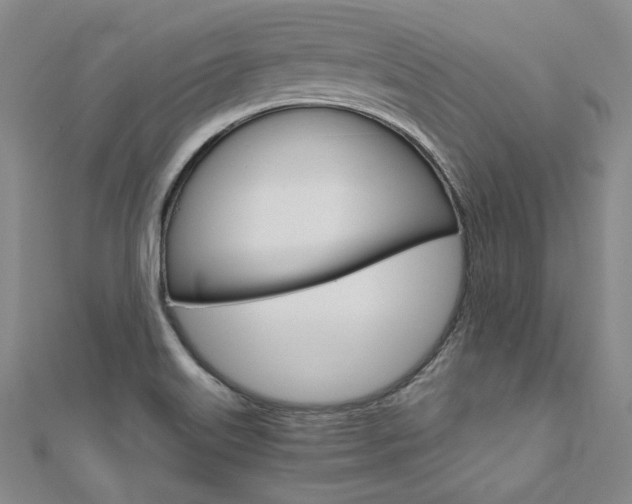 X0000110971515200906191100