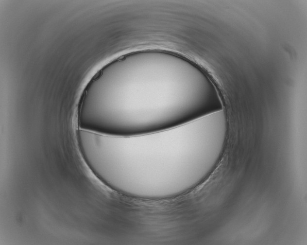 X0000110971516200906191100