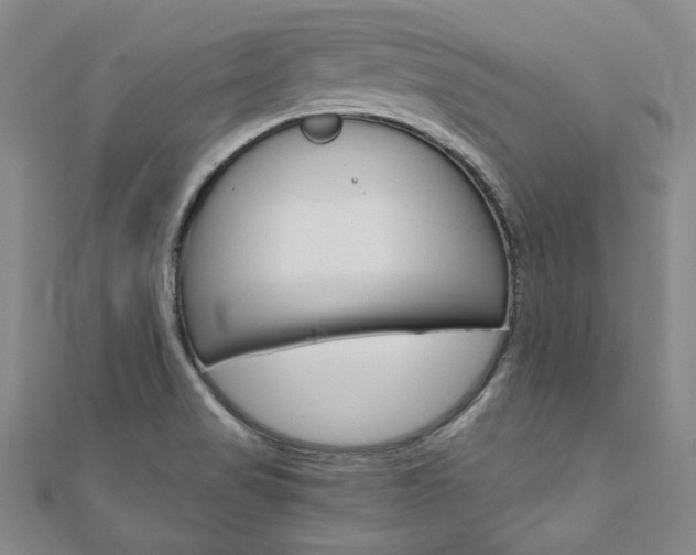 X0000110971517200906191100