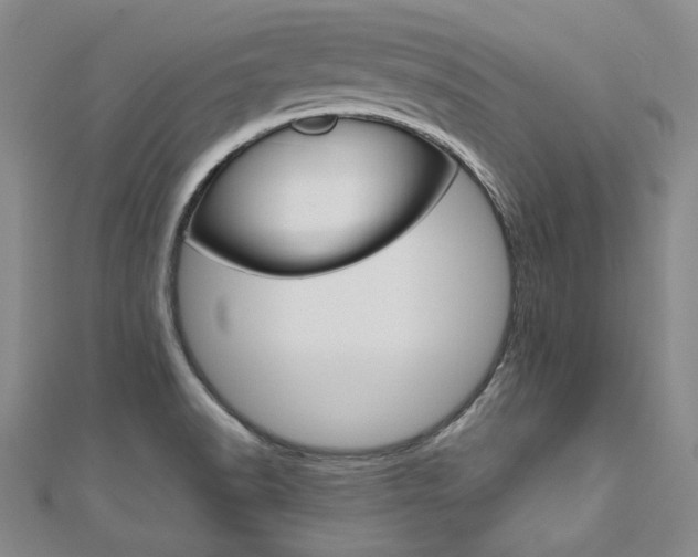 X0000110971518200906191100