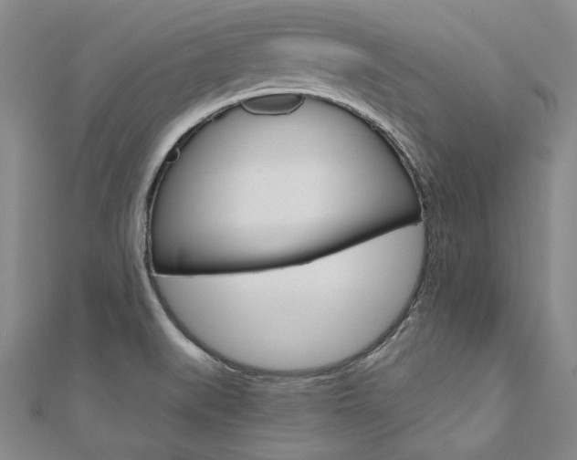 X0000110971519200906191100