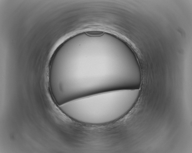 X0000110971522200906191100
