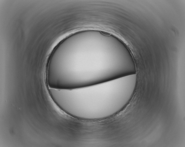 X0000110971523200906191100